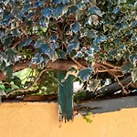 Antiche Dimore Del Vescovado Landsted