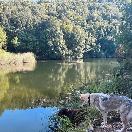 Antiche Dimore Del Vescovado * シエーナ