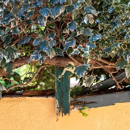 Antiche Dimore Del Vescovado Landhaus