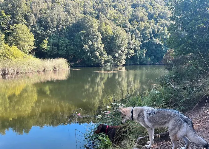 Antiche Dimore Del Vescovado * シエーナ