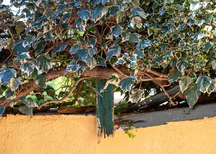 Antiche Dimore Del Vescovado Holiday home